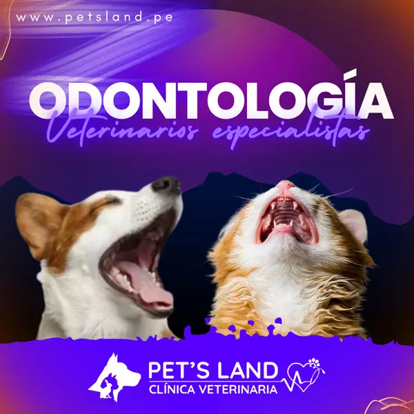 Pet's Land Odontología