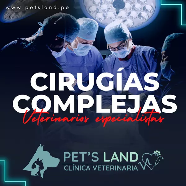 Pet's Land Cirugías Especializadas