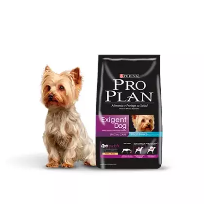 ProPlan Active Mind Razas Pequeñas