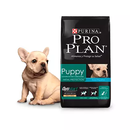 ProPlan Puppy Small Breed - Cachorro Raza Pequeña